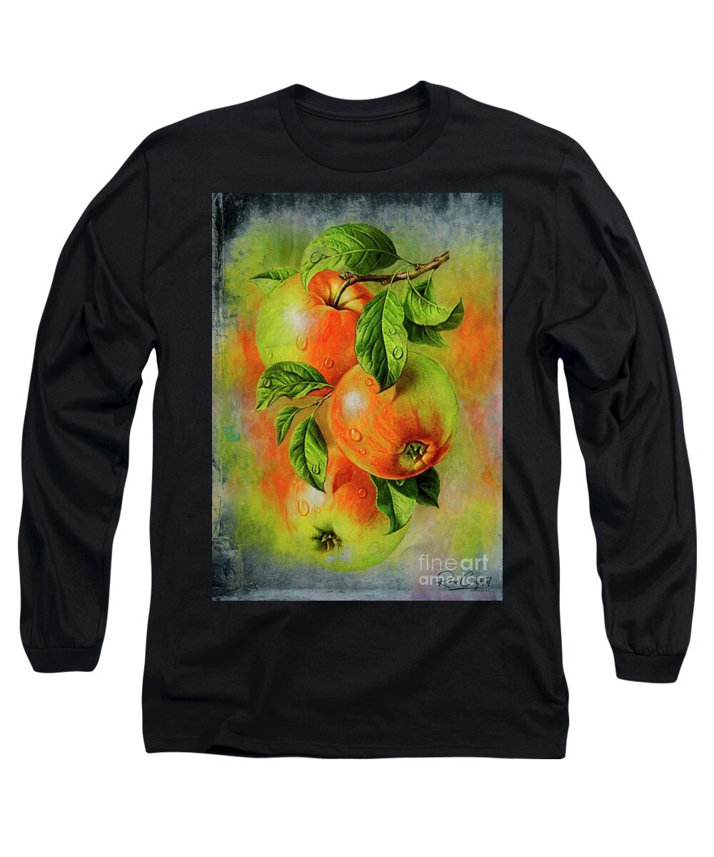 Apples Long Sleeve T-Shirt featuring the photograph 3 A Day is Better by Rene Crystal