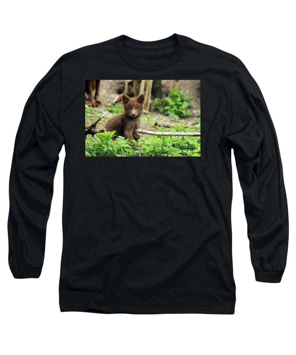 Fox Long Sleeve T-Shirt featuring the photograph Beautiful Fox Cub #5 by Sam Rino