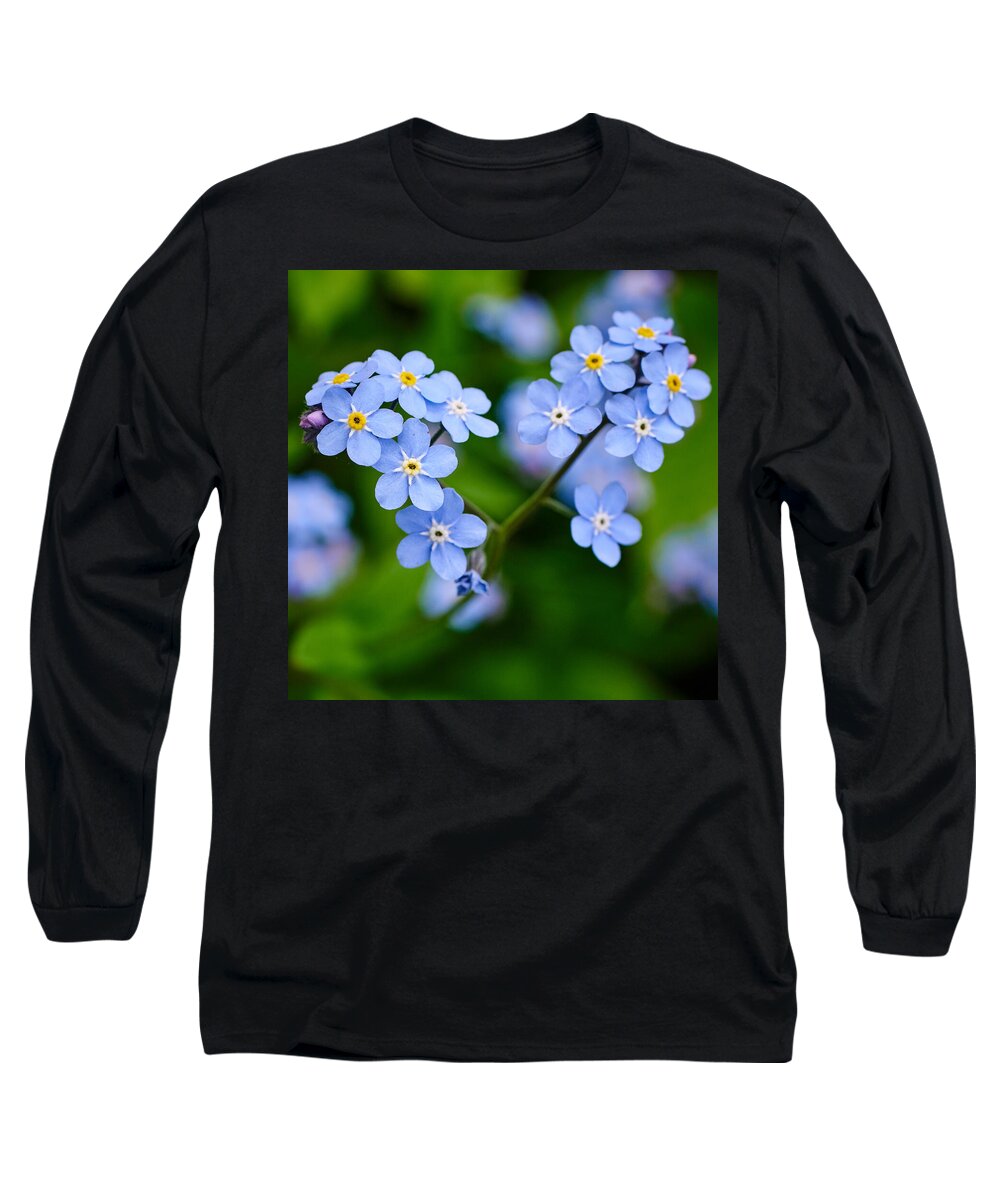 Finland Long Sleeve T-Shirt featuring the photograph The broken heart. Forget me not by Jouko Lehto