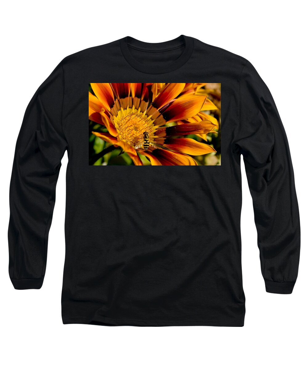 Bee Long Sleeve T-Shirt featuring the photograph Bee #8 by Mariel Mcmeeking