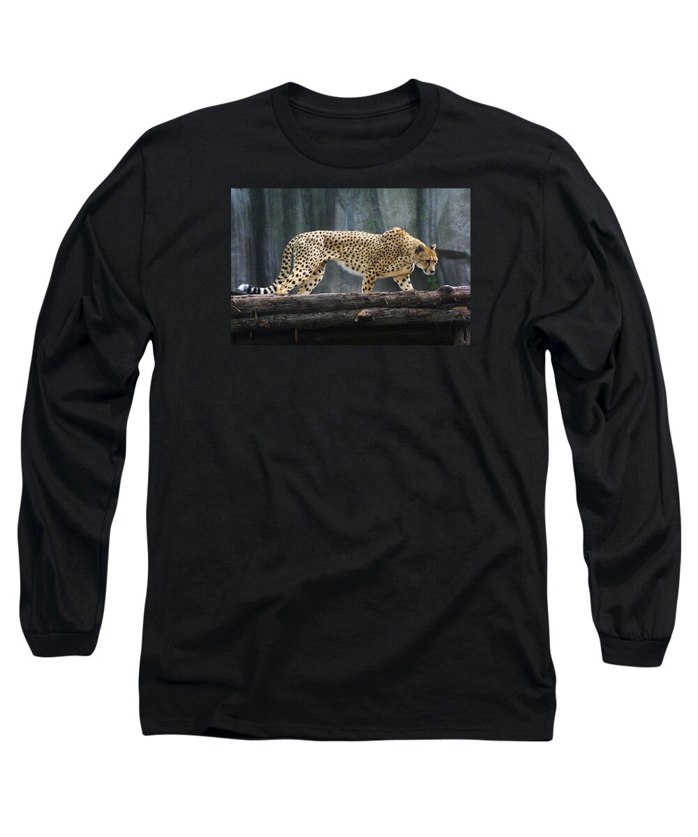 Zoo Long Sleeve T-Shirt featuring the photograph Zoo Scapes #8 by Jean Wolfrum