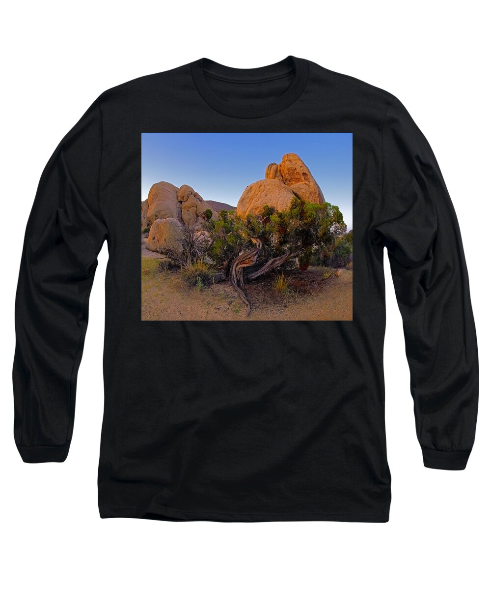 Landscape Long Sleeve T-Shirt featuring the photograph A Crazy Juniper by Paul Breitkreuz