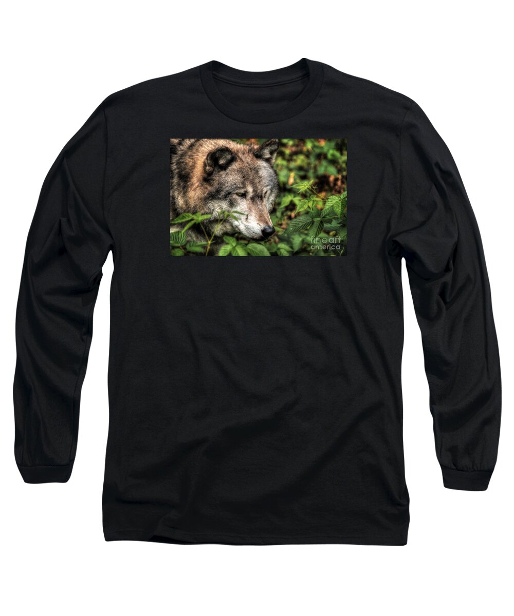 A Senior Citizen Of The Forest Long Sleeve T-Shirt featuring the digital art A Senior Citizen of the Forest by William Fields