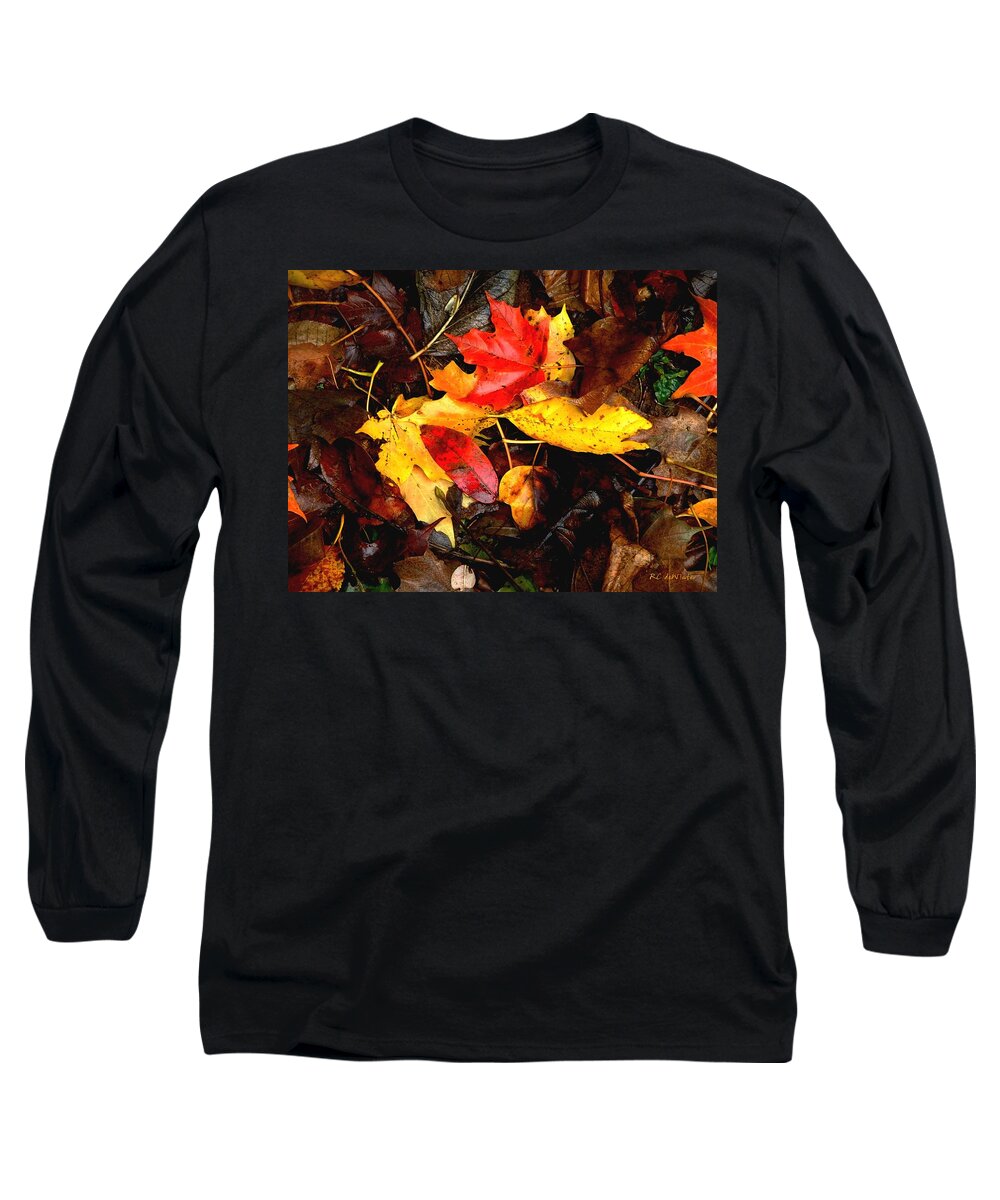 Autumn Long Sleeve T-Shirt featuring the photograph After the Rains of Autumn by RC DeWinter