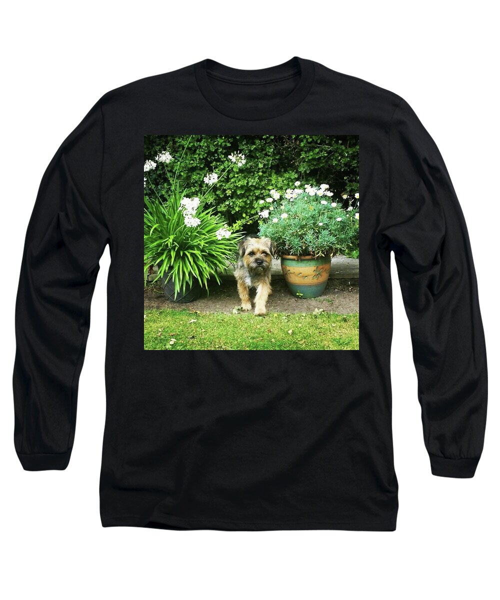 Dog Long Sleeve T-Shirt featuring the photograph Like A Teddy Bear by Rowena Tutty