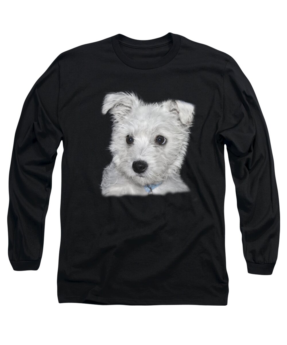 White Long Sleeve T-Shirt featuring the photograph Alert Puppy on a transparent background by Terri Waters