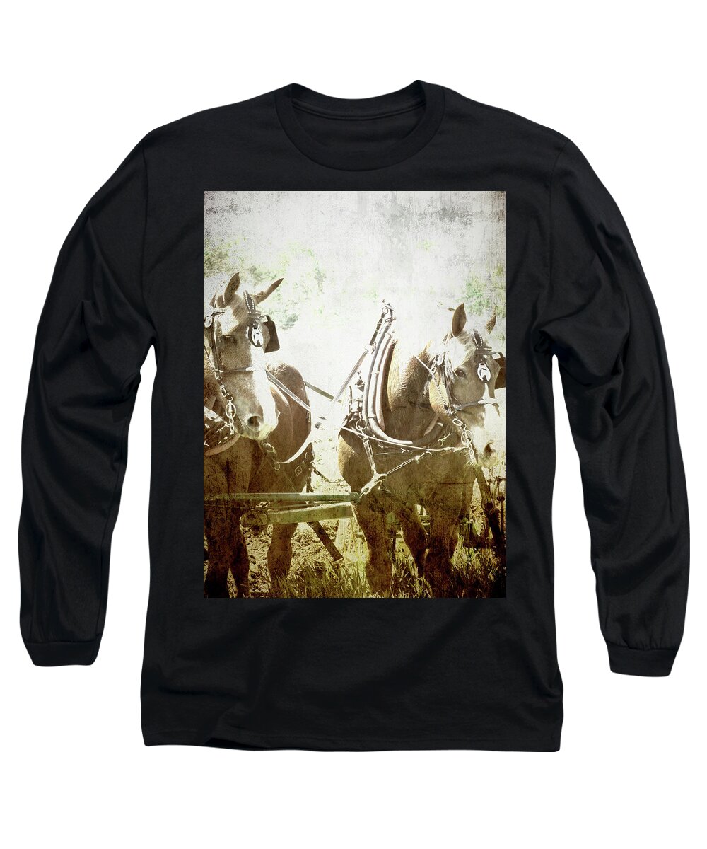 Horse Long Sleeve T-Shirt featuring the photograph Almost Quitting Time by Char Szabo-Perricelli