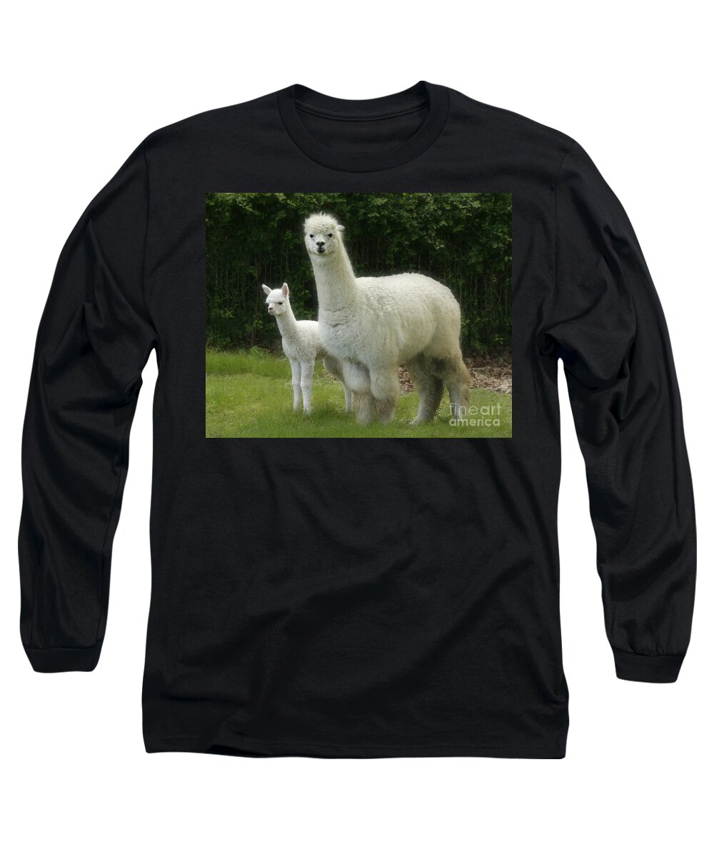 Alpaca Long Sleeve T-Shirt featuring the photograph Alpaca and foal by Garry McMichael