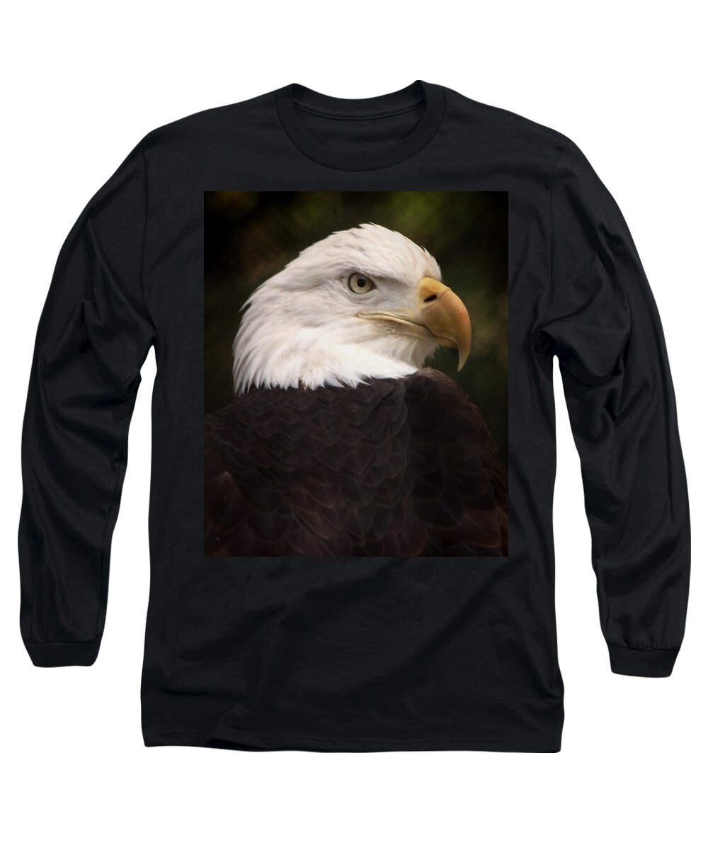 Bald Eagle Long Sleeve T-Shirt featuring the photograph American Bald Eagle by Joseph G Holland