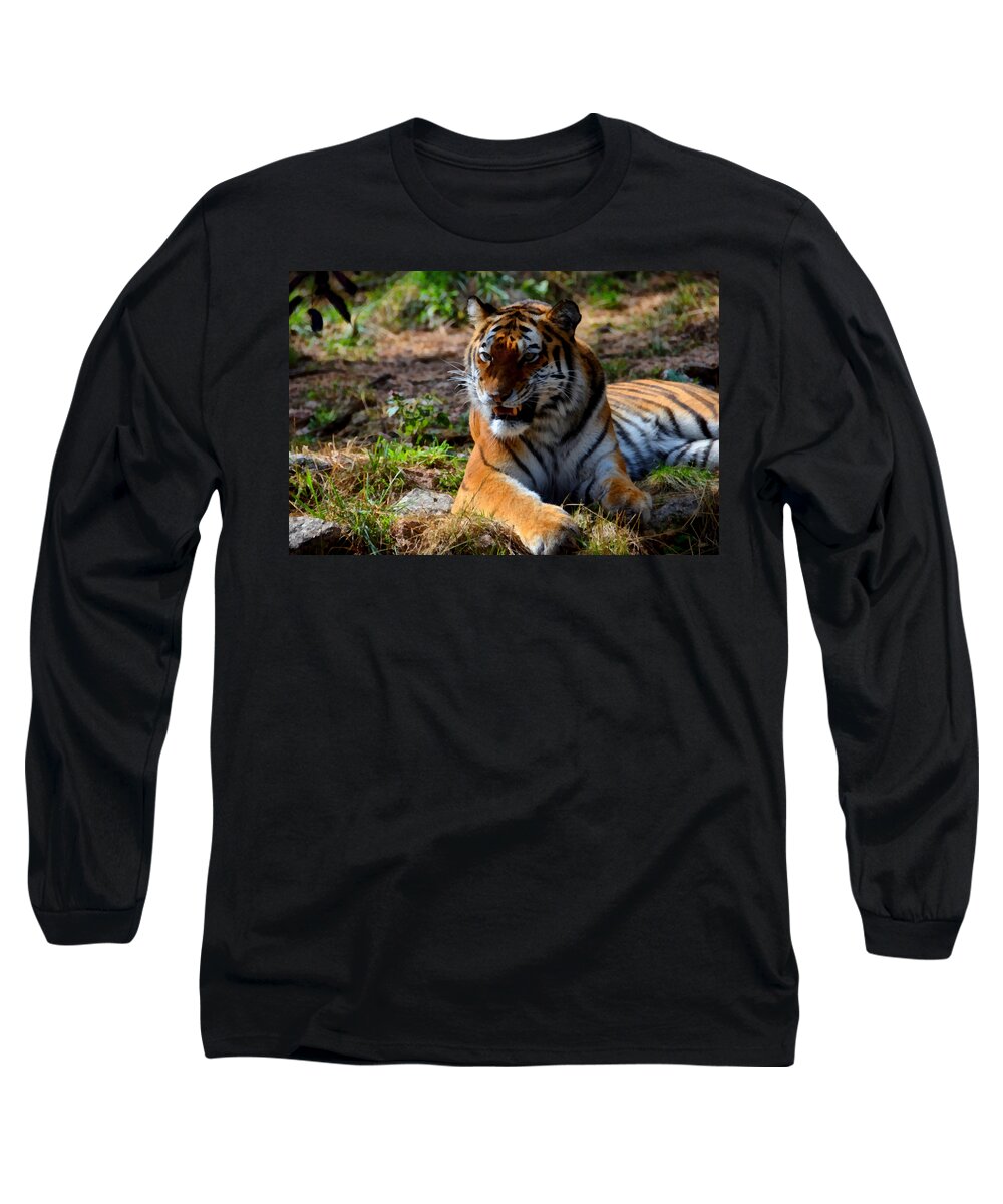 Amur Long Sleeve T-Shirt featuring the mixed media Amur Tiger 5 by Angelina Tamez