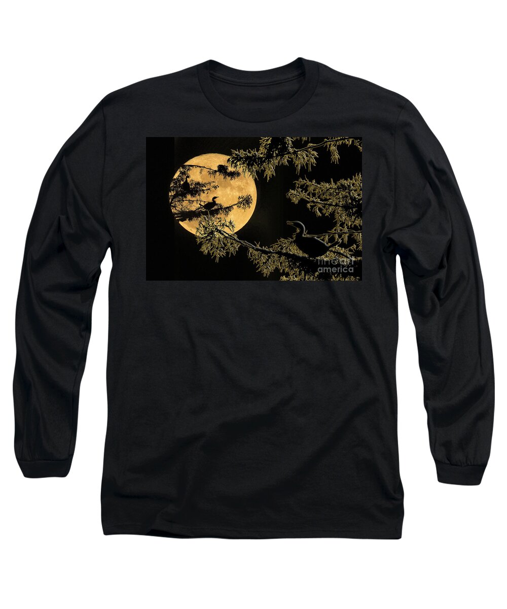 Anhingas Long Sleeve T-Shirt featuring the photograph Anhingas in Full Moon by Bonnie Barry