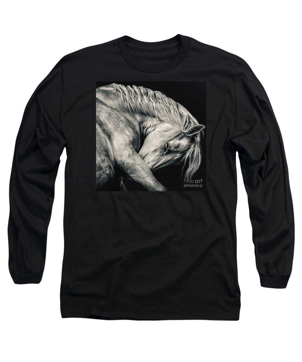 Horse Long Sleeve T-Shirt featuring the photograph Arabian beauty white horse portrait by Dimitar Hristov