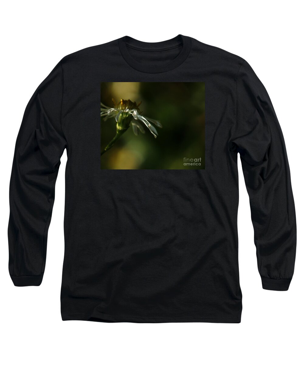 Flower Long Sleeve T-Shirt featuring the photograph Aster's Peripheral Ray by Linda Shafer