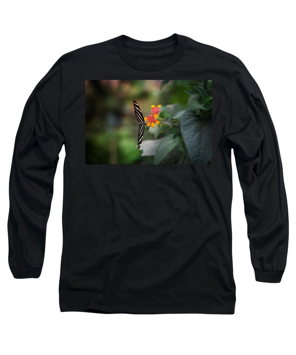 Arizona Long Sleeve T-Shirt featuring the photograph At Last by Lucinda Walter