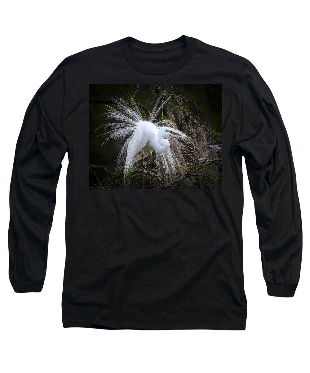 Great Egret Long Sleeve T-Shirt featuring the photograph Attraction by Jim Miller