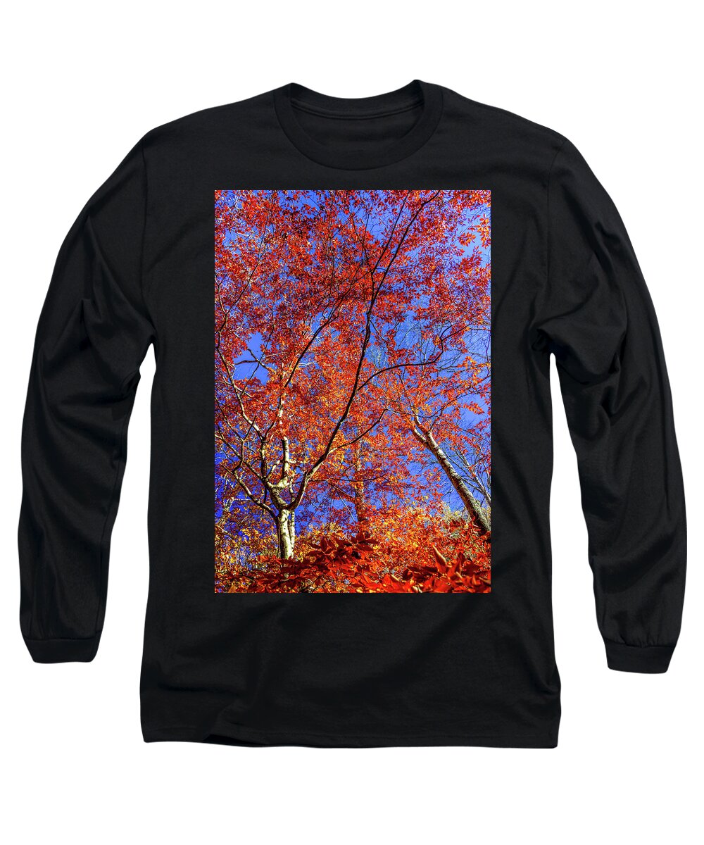 Autumn Leaves Long Sleeve T-Shirt featuring the photograph Autumn Blaze by Karen Wiles