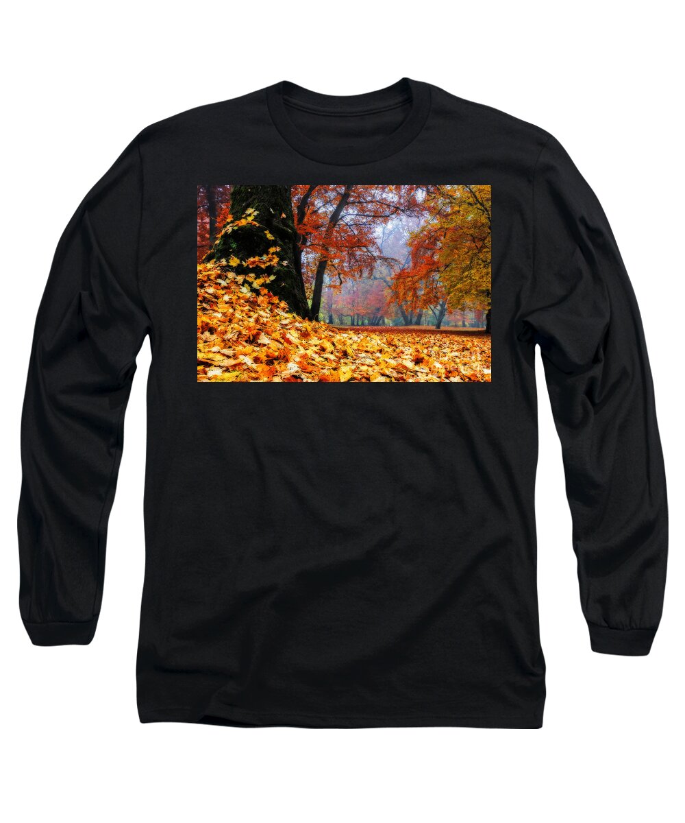 Autumn Long Sleeve T-Shirt featuring the photograph Autumn In The Woodland by Hannes Cmarits