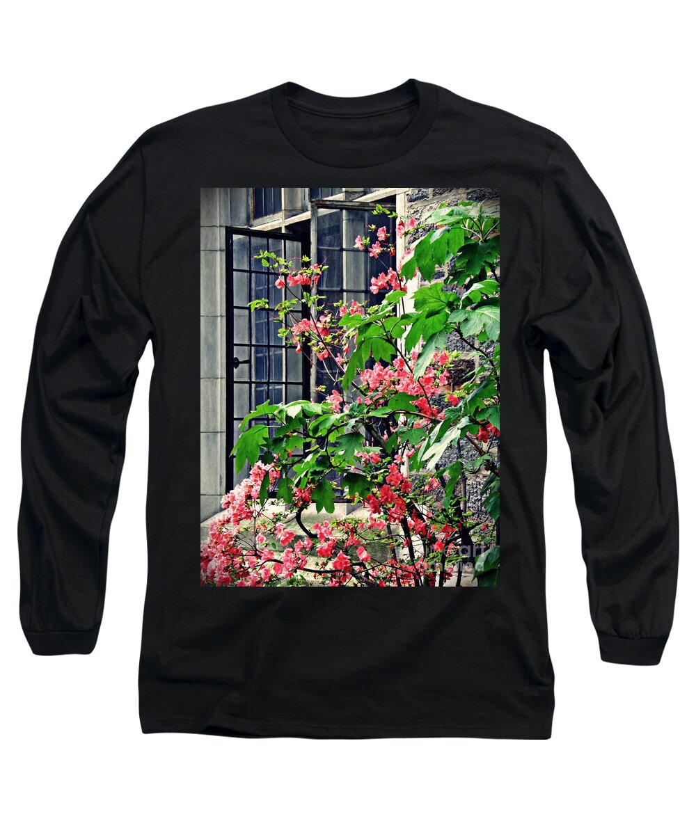 Azalea Long Sleeve T-Shirt featuring the photograph Azaleas at the Window  by Sarah Loft