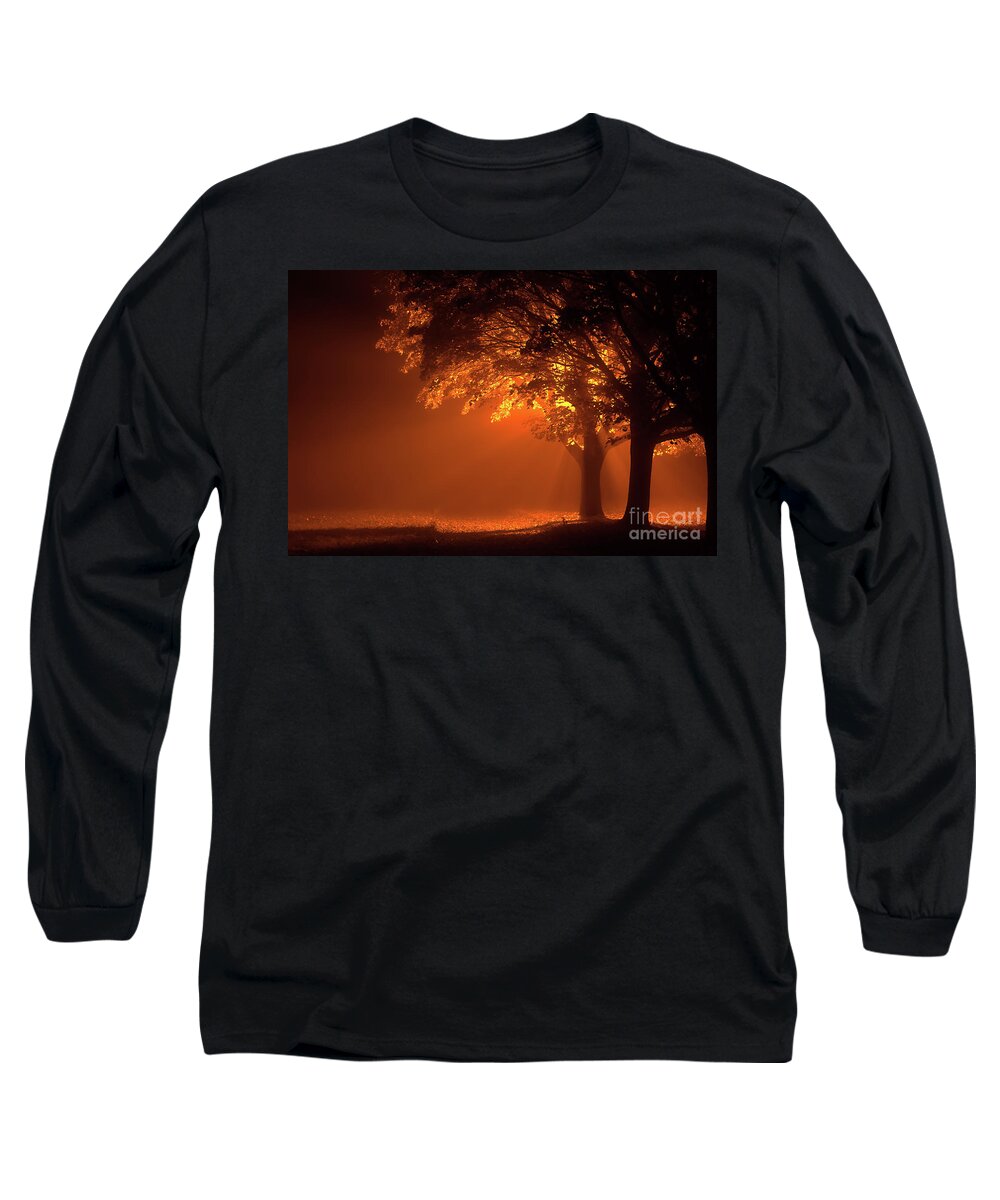 Night Long Sleeve T-Shirt featuring the photograph Beautiful trees at night with orange light by Simon Bratt