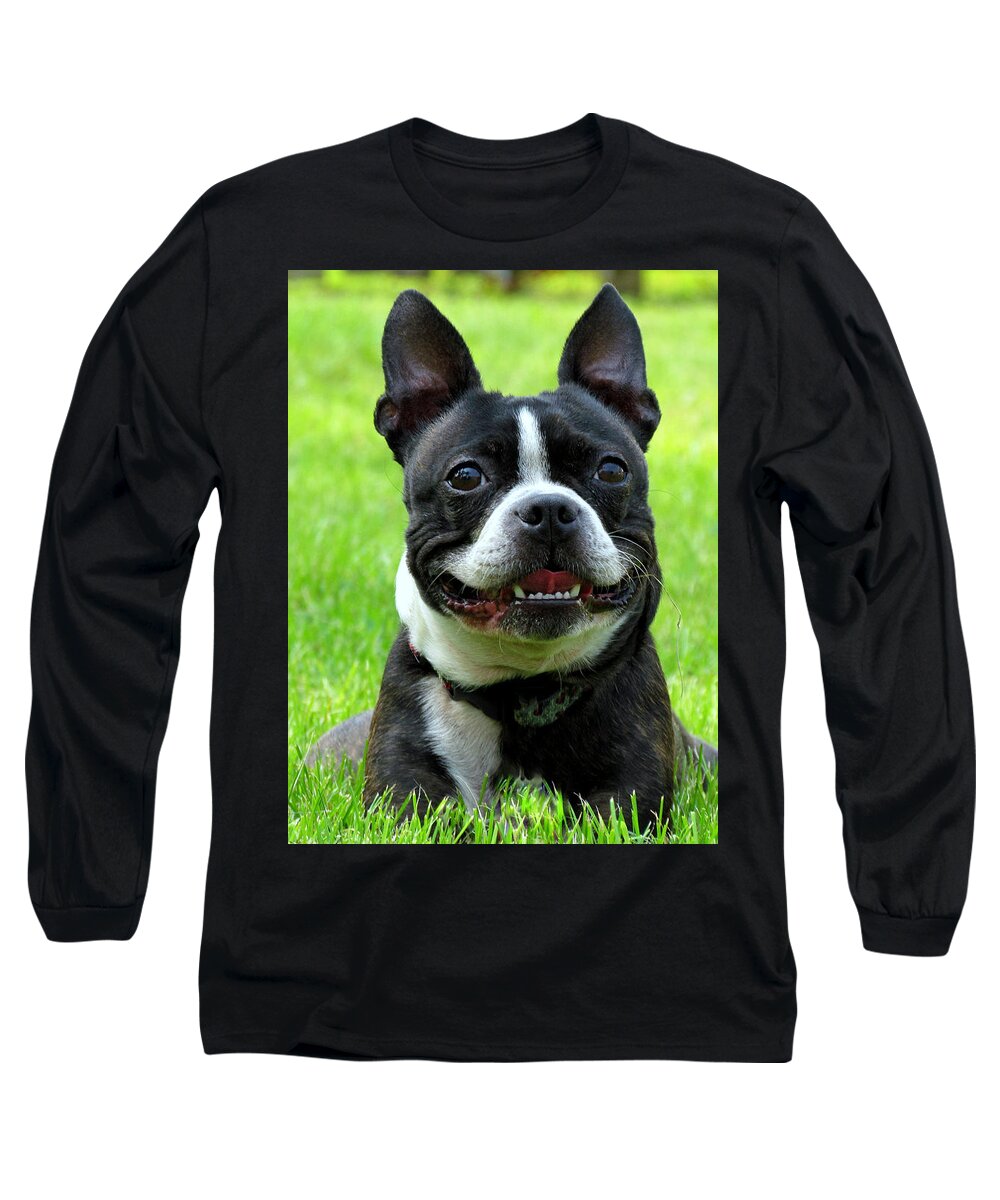 Dog Long Sleeve T-Shirt featuring the photograph Bella the Boston by Lori Lafargue