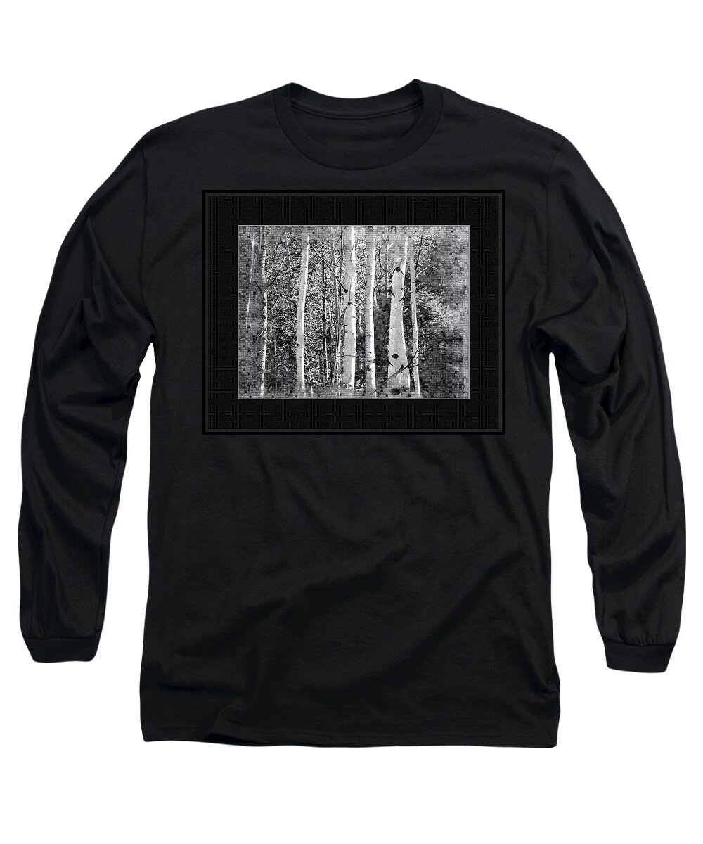 Birch Trees Long Sleeve T-Shirt featuring the photograph Birch Trees by Susan Kinney
