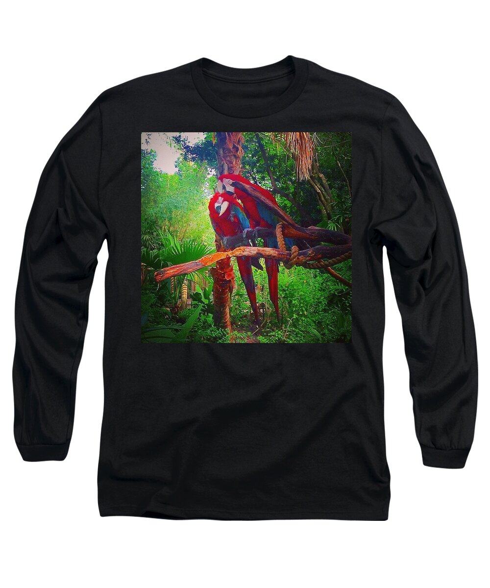 Birds Long Sleeve T-Shirt featuring the photograph Love Birds by Kate Arsenault 