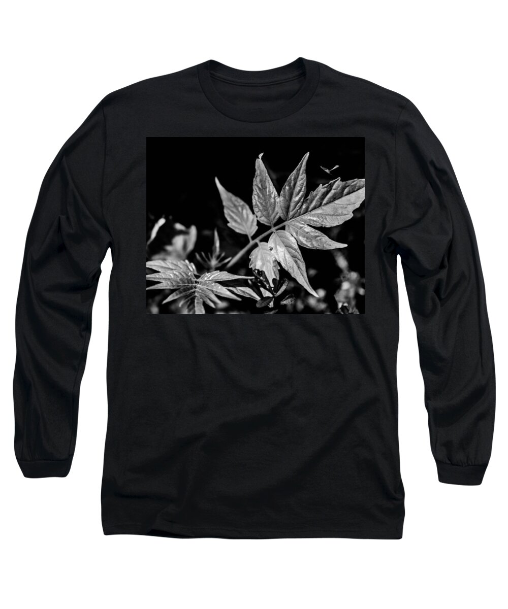 Black And White Plant Forest Woods Bruce Pritchett Photography Long Sleeve T-Shirt featuring the photograph Black and White On the forest Floor by Bruce Pritchett