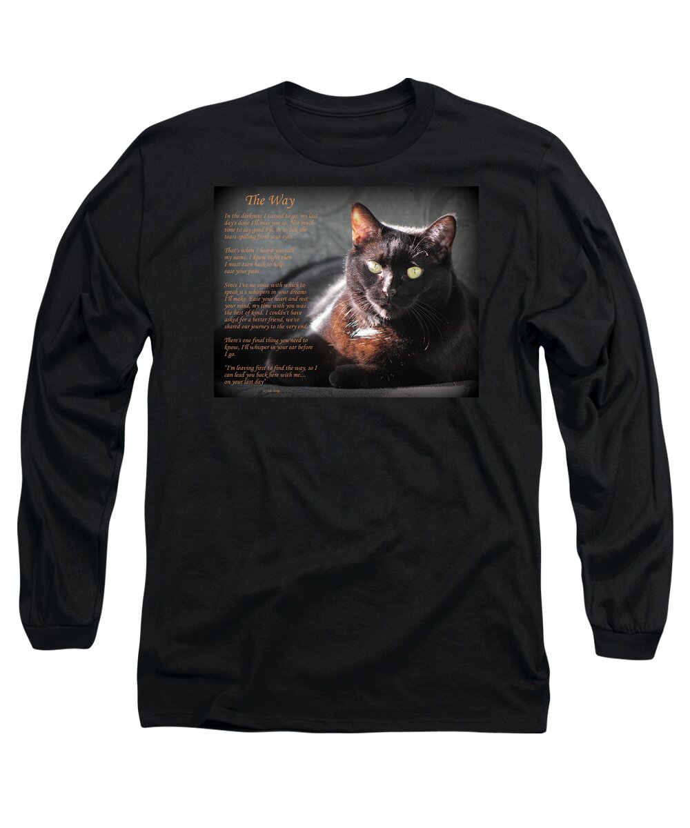 Black Cats Long Sleeve T-Shirt featuring the photograph Black Cat The Way by Sue Long
