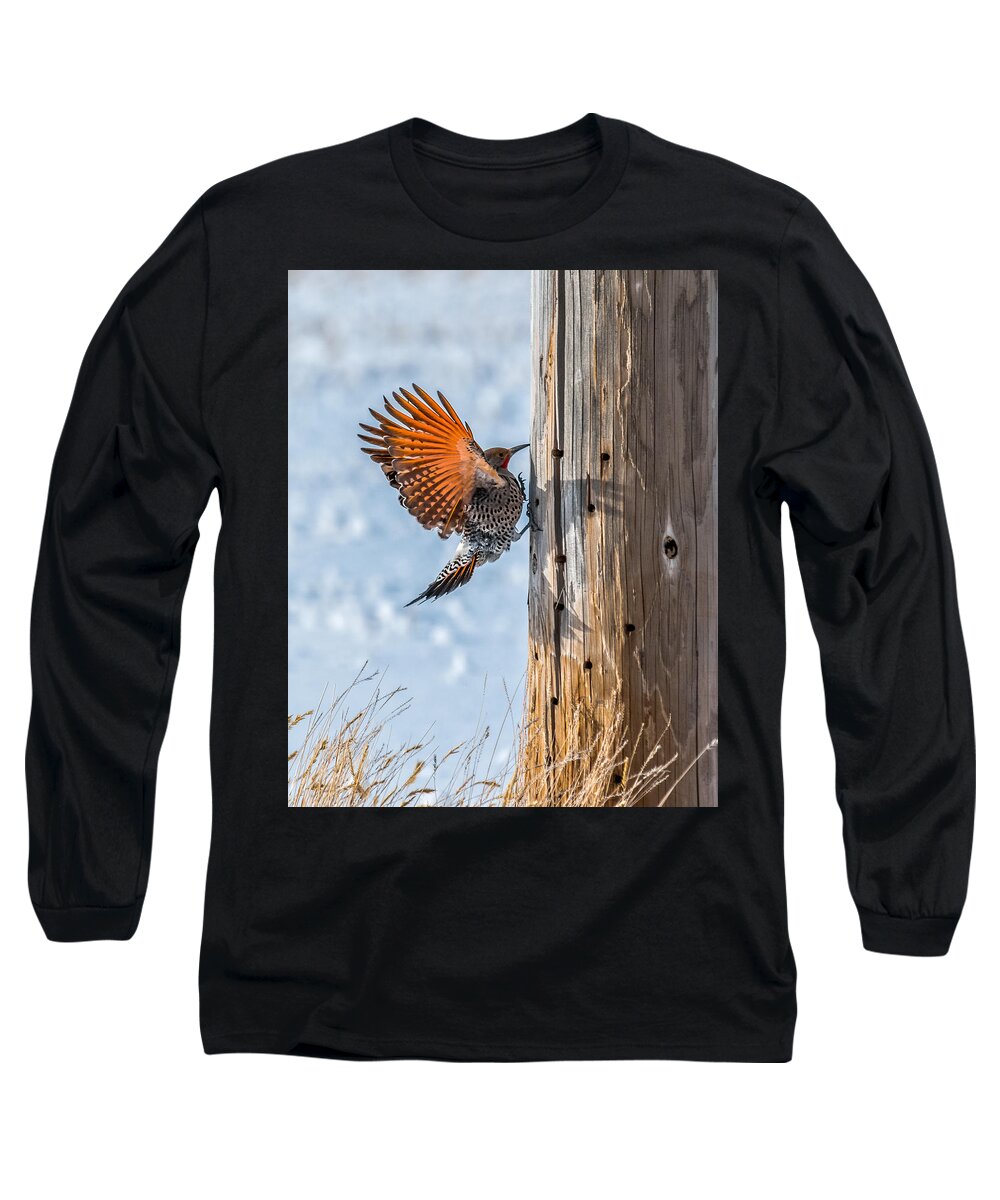 Woodpecker Long Sleeve T-Shirt featuring the photograph Blazing Flicker Woodpecker by Yeates Photography