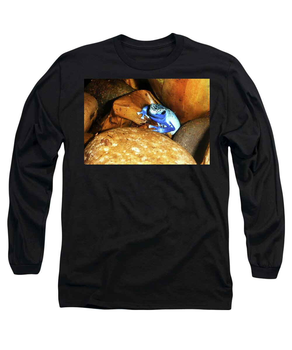 Poison Dart Frog Long Sleeve T-Shirt featuring the photograph Blue Poison Dart Frog by Anthony Jones