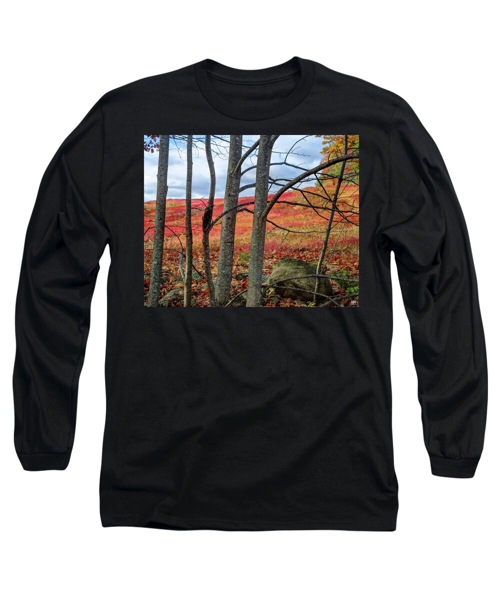 Blueberry Field Long Sleeve T-Shirt featuring the photograph Blueberry Field Through the Wall - cropped by John Meader