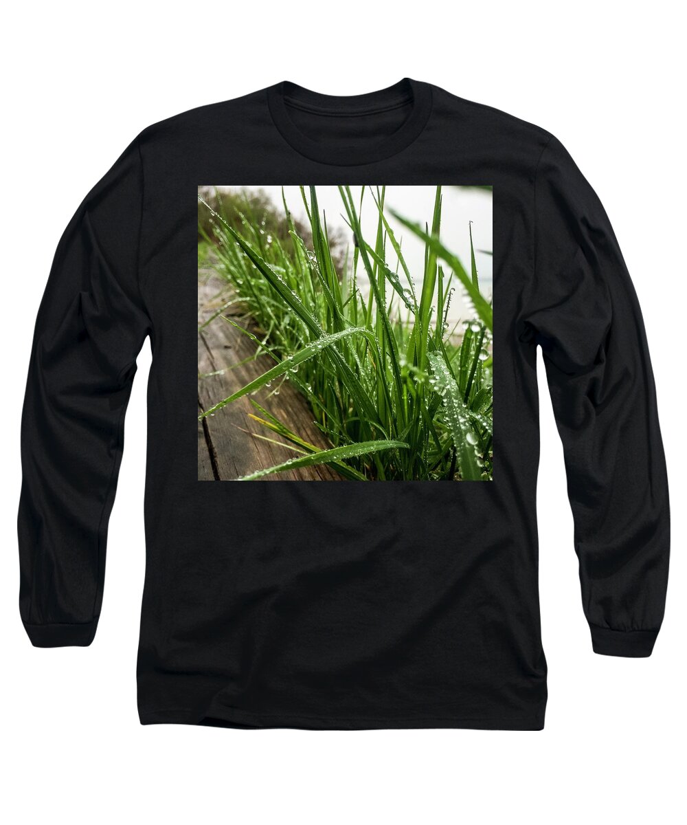 Grass Long Sleeve T-Shirt featuring the photograph Border by Terri Hart-Ellis