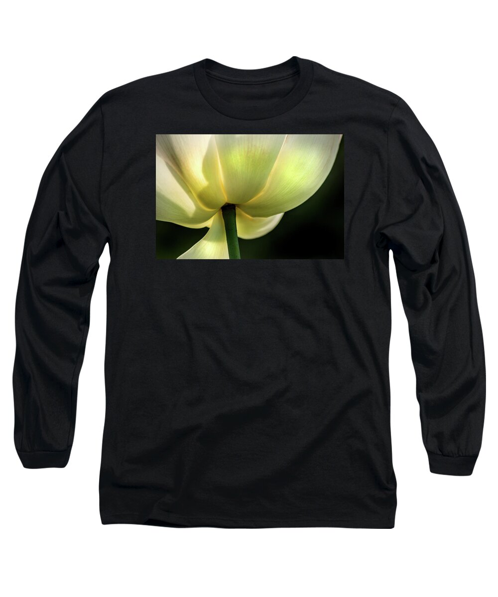 Flower Long Sleeve T-Shirt featuring the photograph Bottom of Lotus by Don Johnson