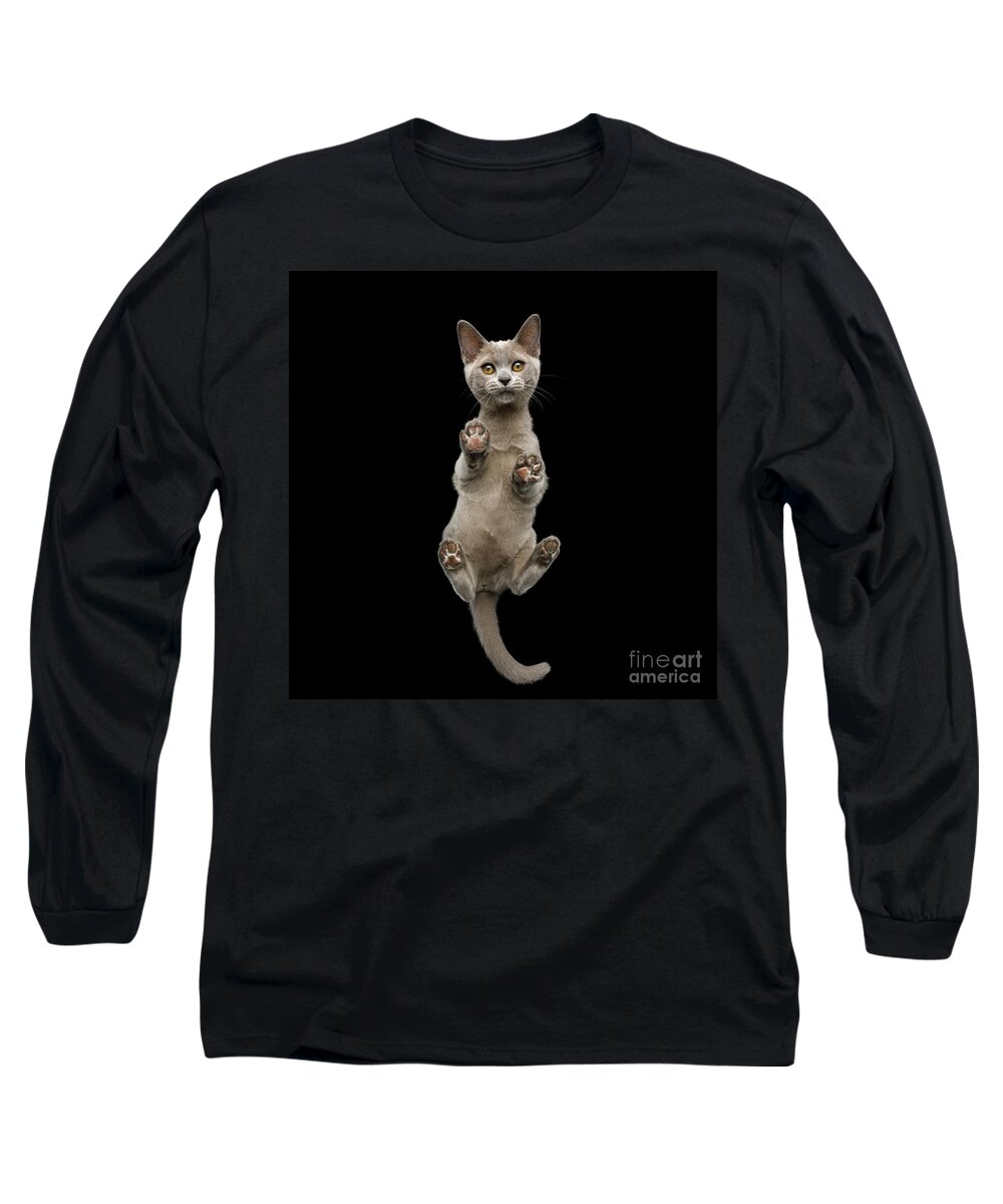 Pads Long Sleeve T-Shirt featuring the photograph Bottom view of Kitten by Sergey Taran