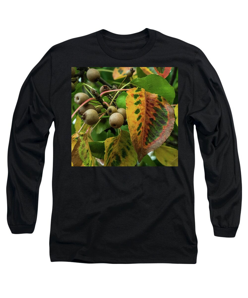 Bradford Long Sleeve T-Shirt featuring the photograph Bradford Pear Fruit and Leaves by Douglas Barnett