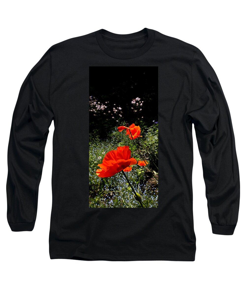 Oriental Poppy Long Sleeve T-Shirt featuring the painting Bright Orange by Renate Wesley