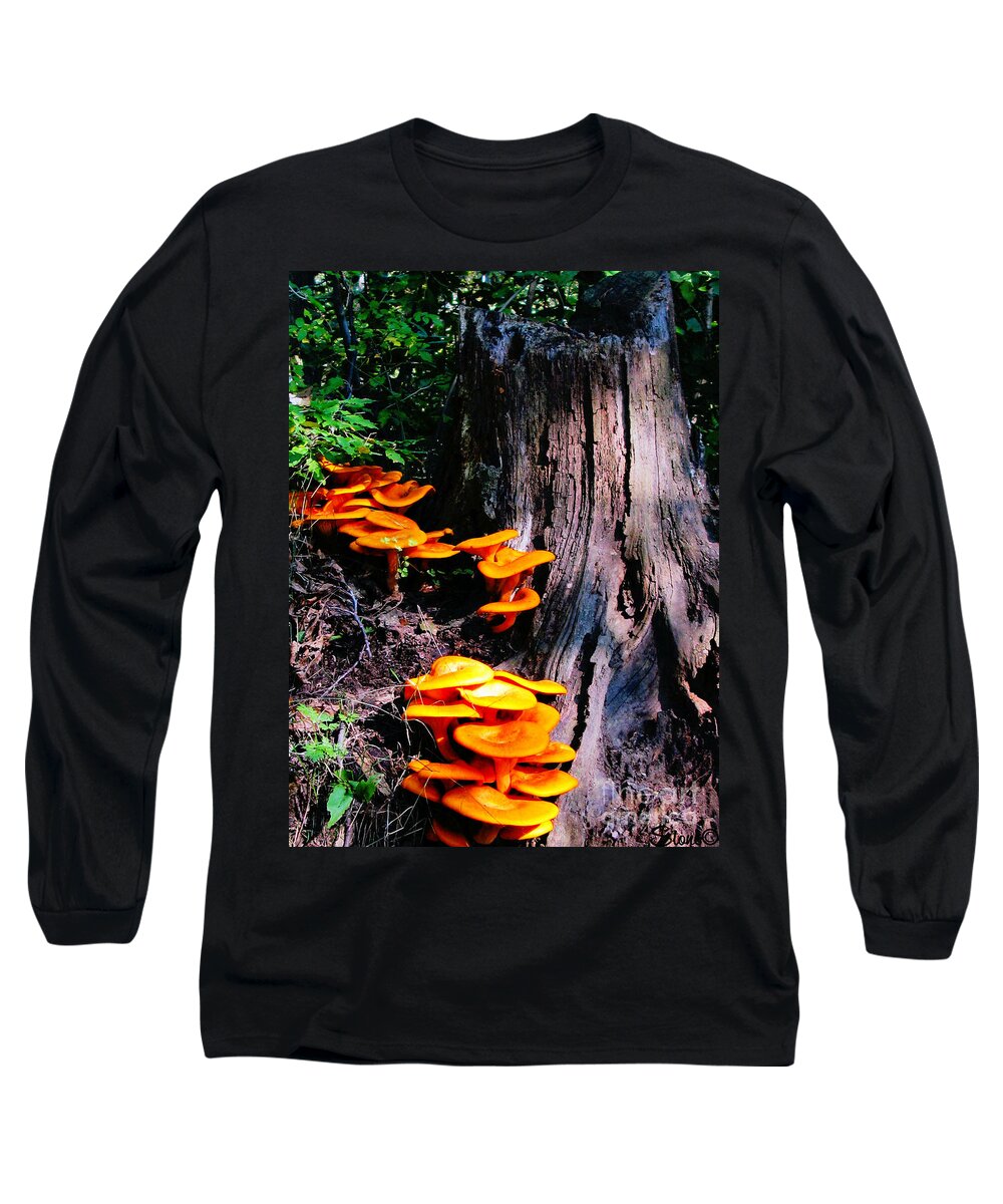Orange Long Sleeve T-Shirt featuring the photograph Brilliant Orange by September Stone