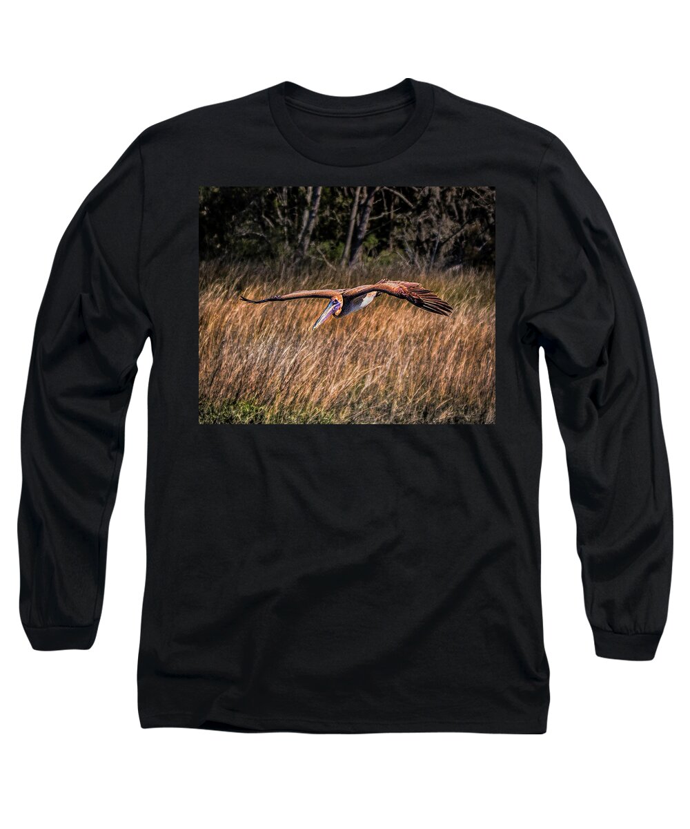 Brown Pelican Long Sleeve T-Shirt featuring the photograph Brown Pelican Flying Over Marsh by Joe Granita