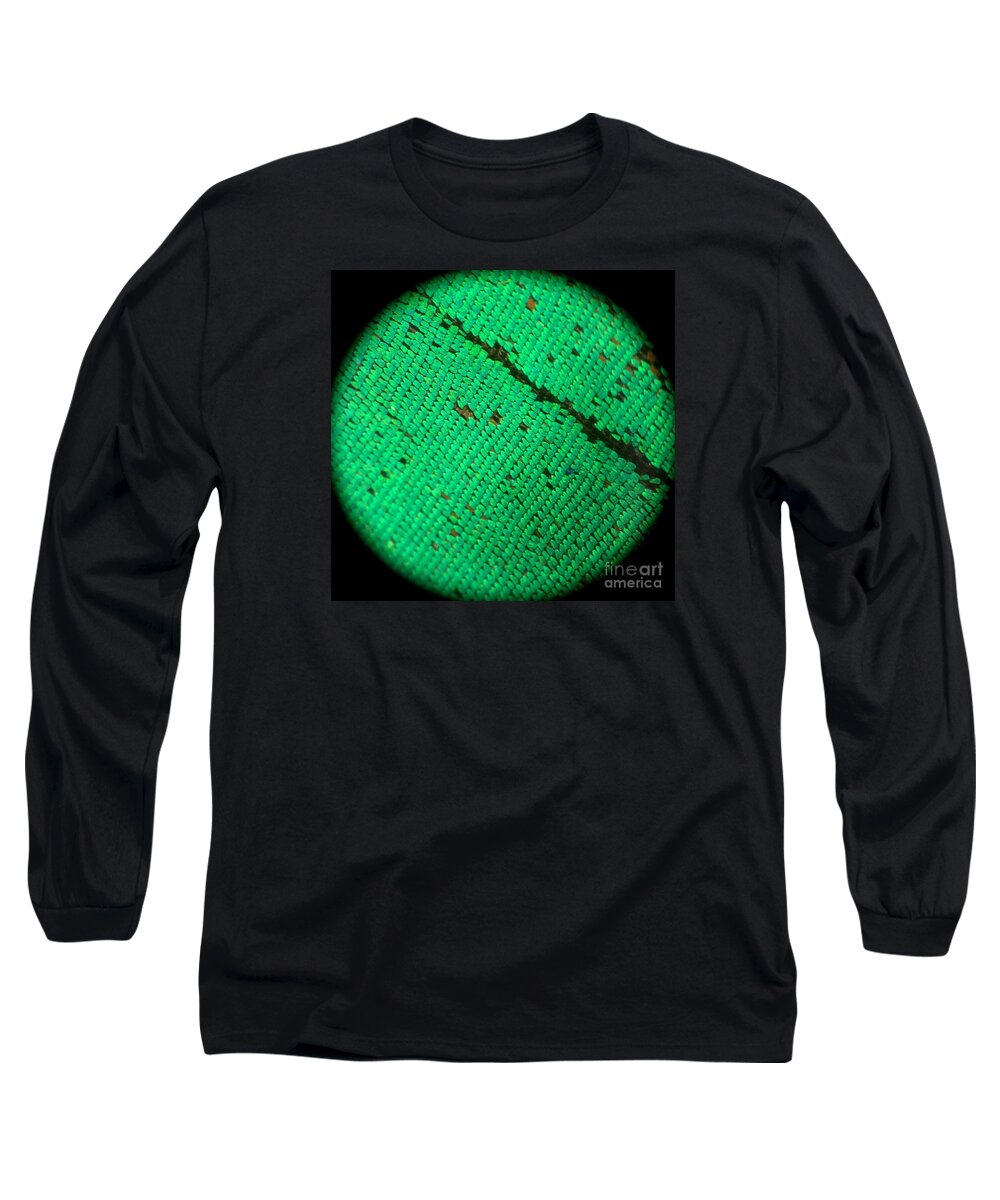 Scale Long Sleeve T-Shirt featuring the photograph Butterfly Armor by KD Johnson