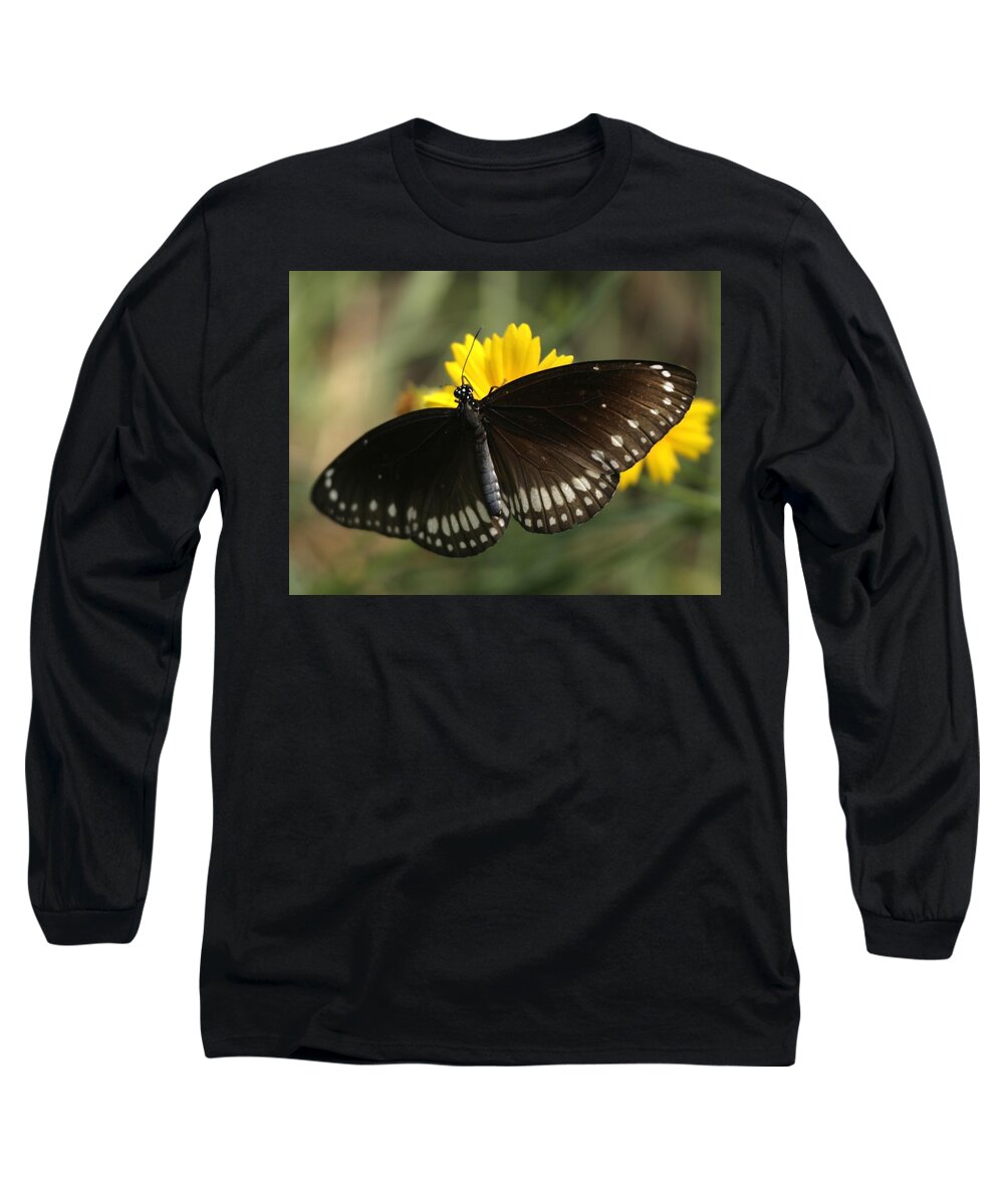 Butterfly India Indian Black White Yellow Long Sleeve T-Shirt featuring the photograph Butterfly, India by Ian Sanders