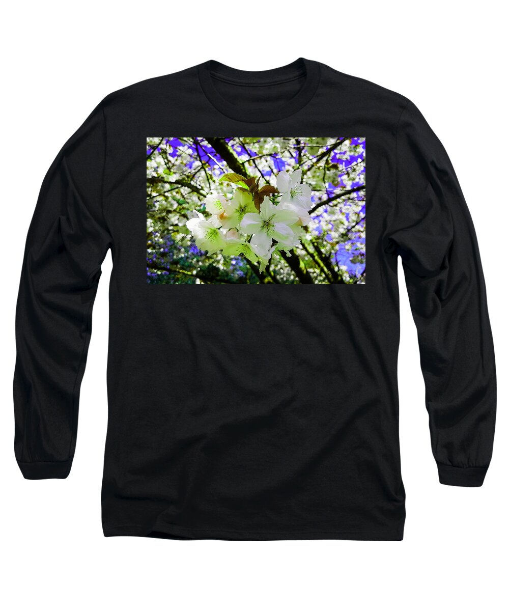 Fantasy Long Sleeve T-Shirt featuring the photograph Cherry Blossom Splash In Summer Lime by Rowena Tutty