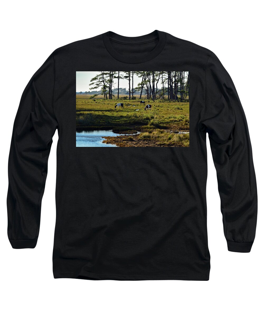Chincoteague Long Sleeve T-Shirt featuring the photograph Chincoteague Ponies by Nicole Lloyd