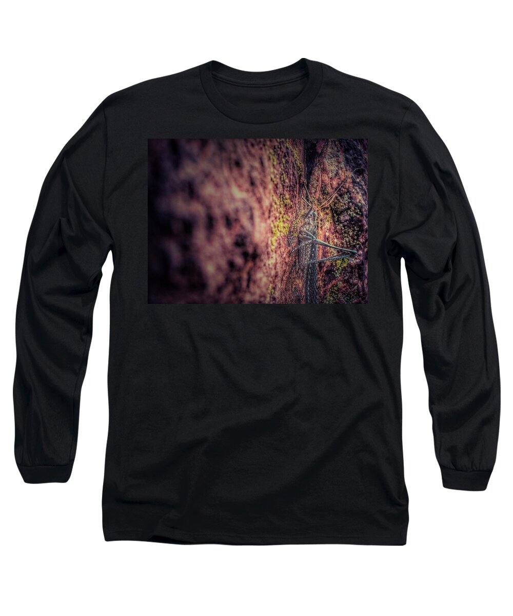  Long Sleeve T-Shirt featuring the photograph Chirp by Mark Ross