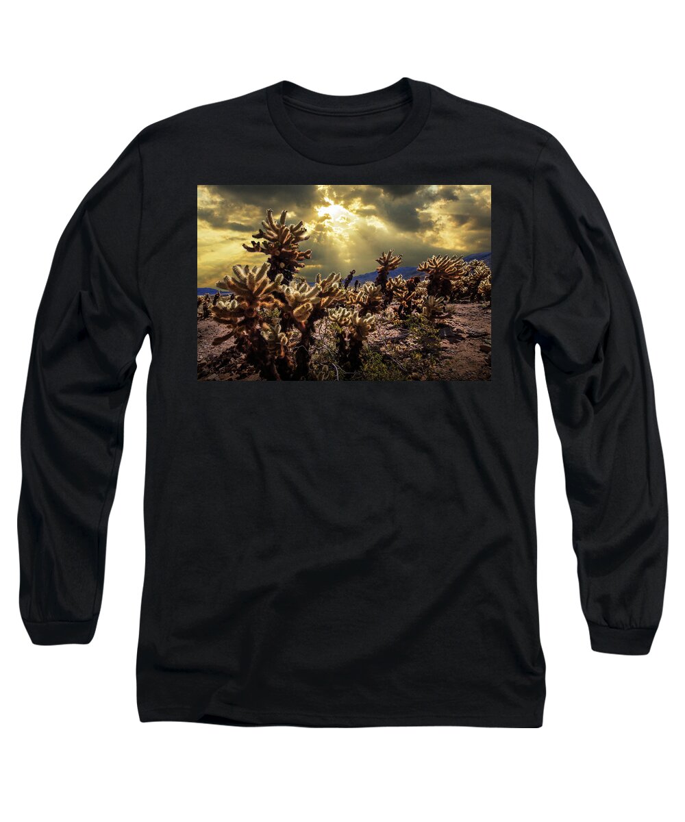 Art Long Sleeve T-Shirt featuring the photograph Cholla Cactus Garden bathed in Sunlight in Joshua Tree National Park by Randall Nyhof