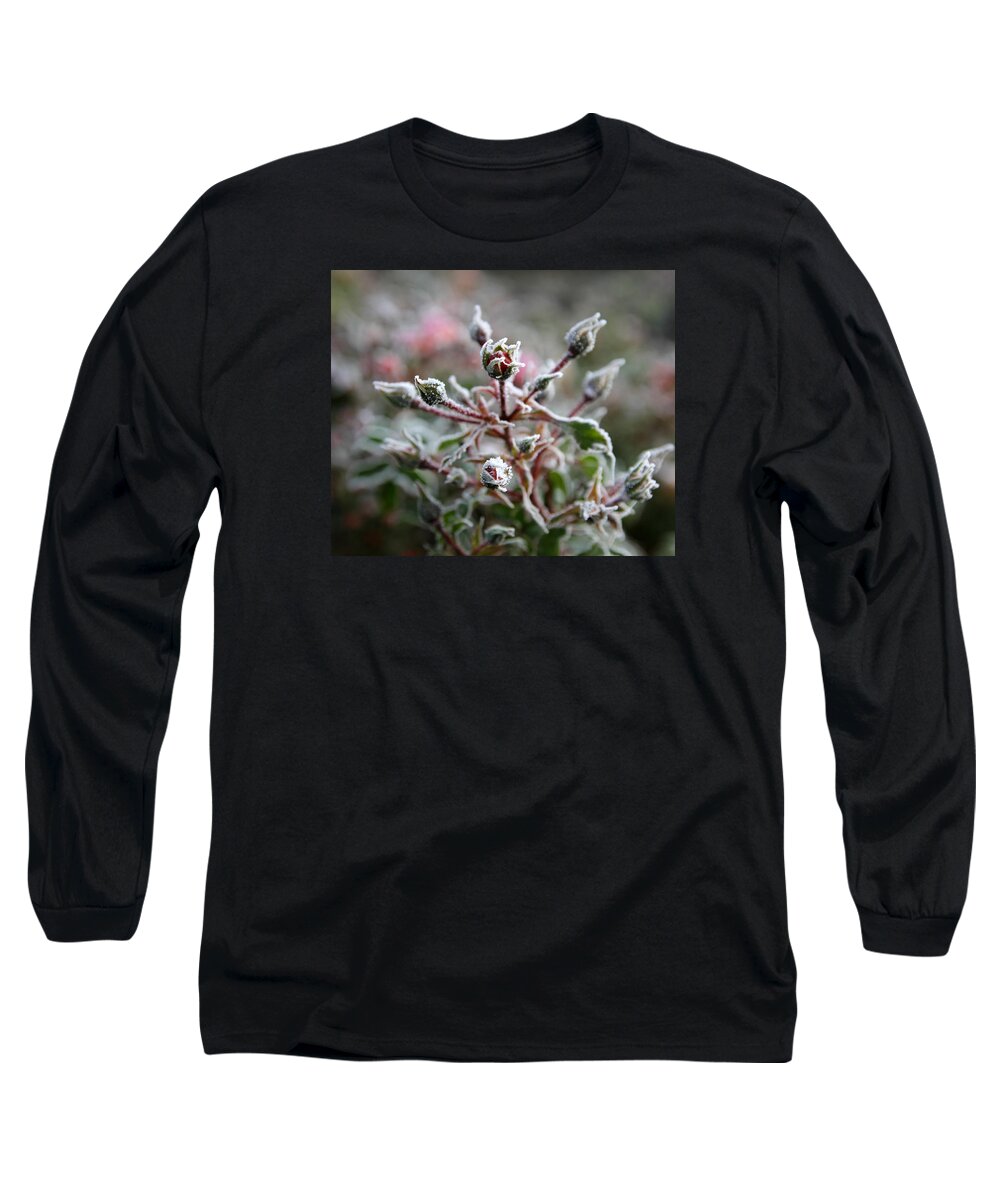 Plant Long Sleeve T-Shirt featuring the photograph Christmas Miniature Rosebuds by KATIE Vigil