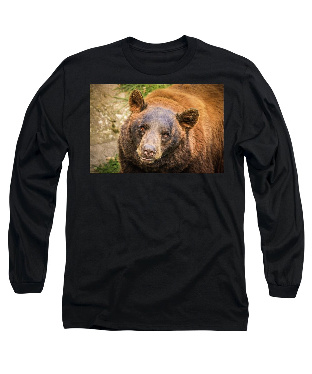 Cinnamon Long Sleeve T-Shirt featuring the photograph Cinnamon Bear by Dana Foreman