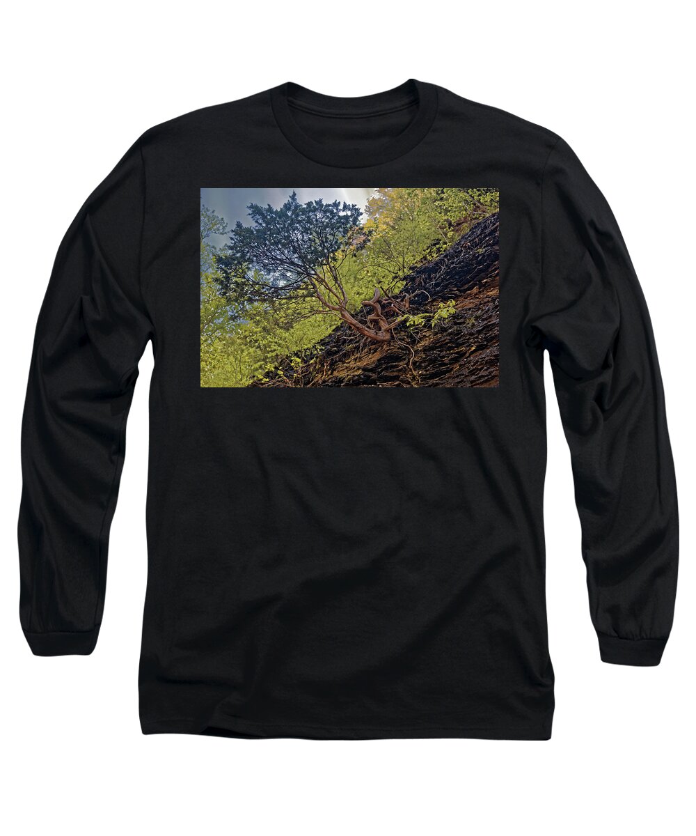 Awesome Tree Long Sleeve T-Shirt featuring the photograph Climbing Tree Roots by Doolittle Photography and Art
