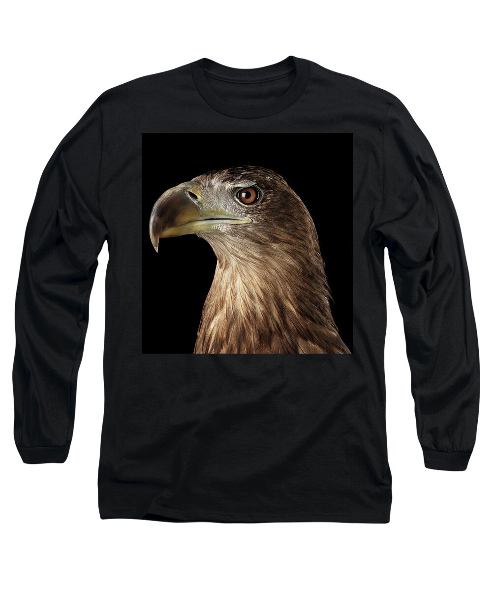 Eagle Long Sleeve T-Shirt featuring the photograph Close-up White-tailed eagle, Birds of prey isolated on Black background by Sergey Taran