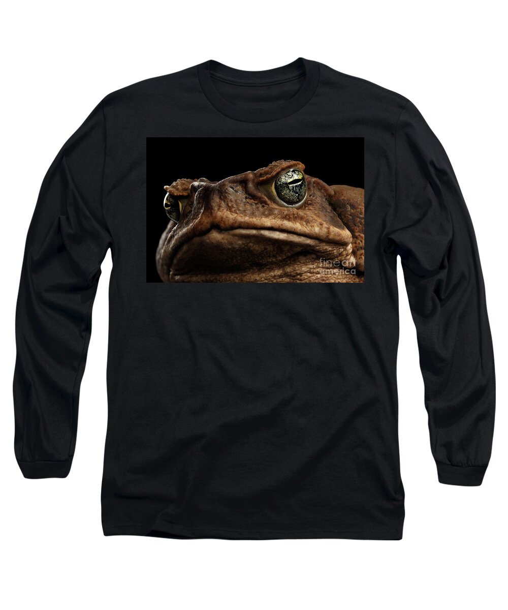 Toad Long Sleeve T-Shirt featuring the photograph Closeup Cane Toad - Bufo marinus, giant neotropical or marine toad Isolated on Black Background by Sergey Taran