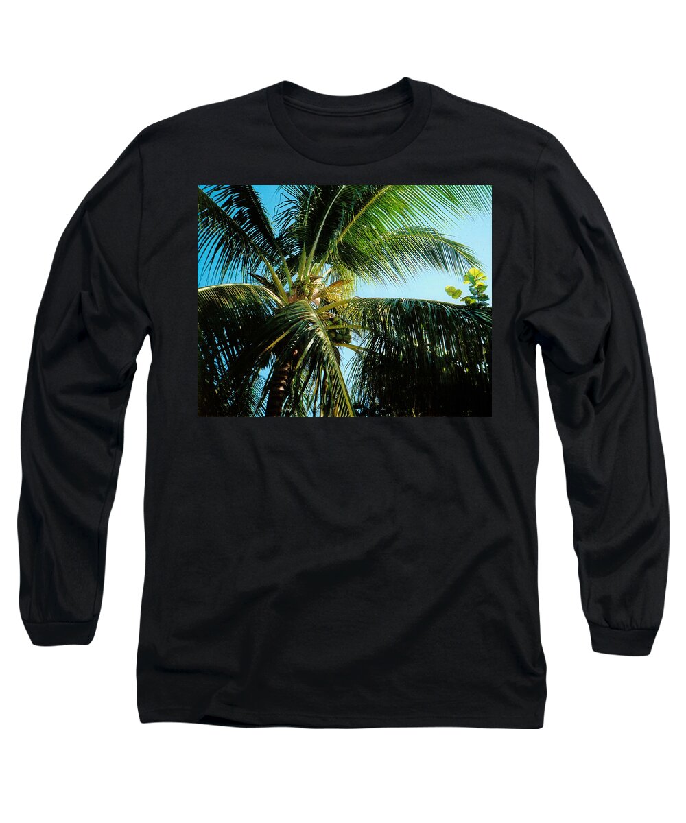 Jamaica Long Sleeve T-Shirt featuring the photograph Coconut Tree by Debbie Levene